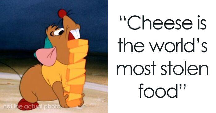 80 Truly Random Facts That Are Still Better Than The News