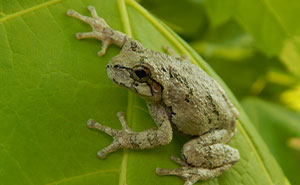 44 Truly Random Facts That Are Still Better Than The News