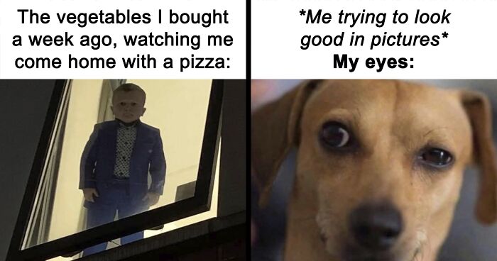 120 Hilarious Memes That Make You Forget What You Were Stressed About
