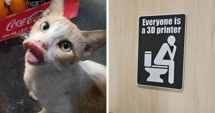 “Amazing Humor Daily”: 50 Random Pics That Are Funnier Than They Should Be