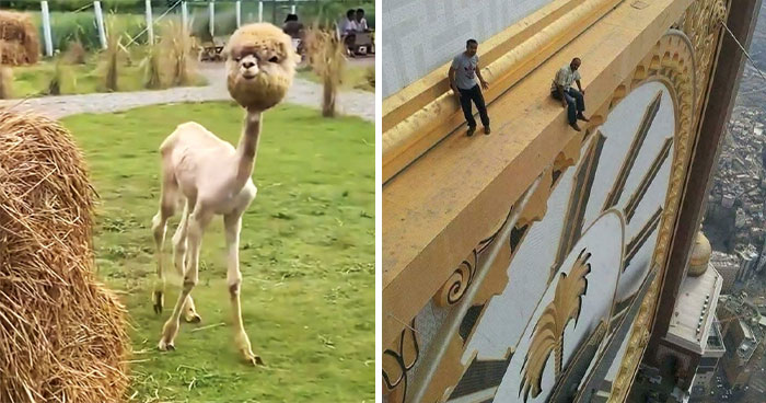 45 Times People Saw Or Learned Something So Interesting, They Had To Show The Internet (New Pics)