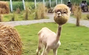 Estas 18 personas descubrieron cosas interesantes y las compartieron (nuevas imágenes)