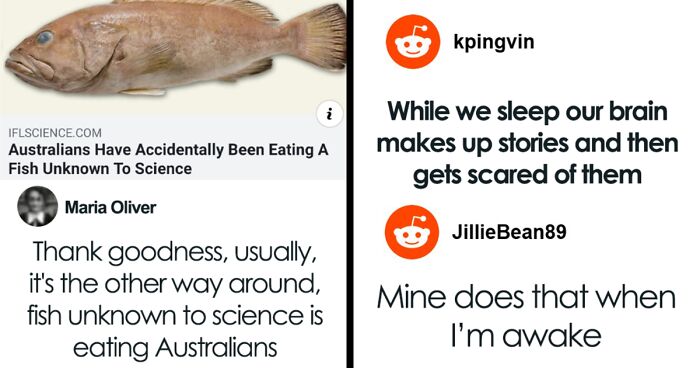 79 Funny Random Memes That Are Somehow Exactly What You Needed Today