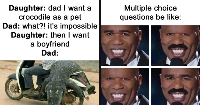 79 Funny Memes To Help You Disassociate In A Fun Way