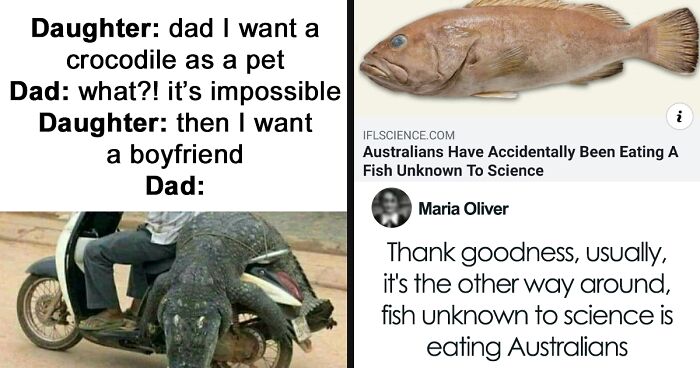 79 Funny Memes To Help You Disassociate In A Fun Way