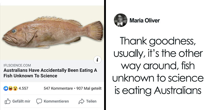 79 Funny Random Memes That Are Somehow Exactly What You Needed Today