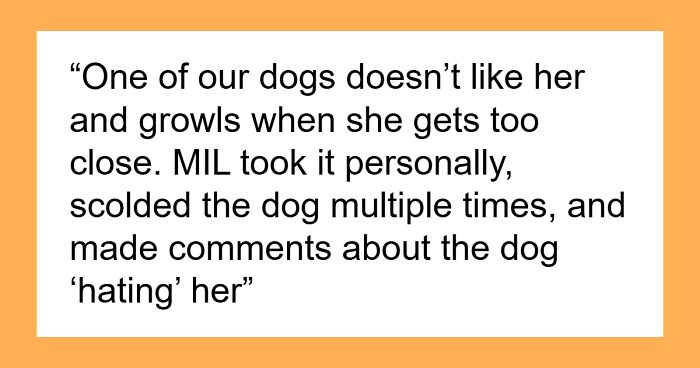 Woman Hosts ‘Casual’ Christmas, Her Toxic Mother-In-Law Gets Offended And Ruins Everything