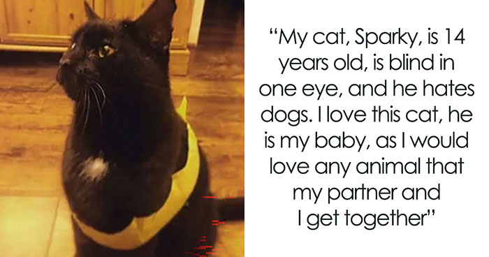 Woman Is Not Opposed To Having A Dog But Asks To Wait, Impatient GF Finally Realizes Why It’s Necessary