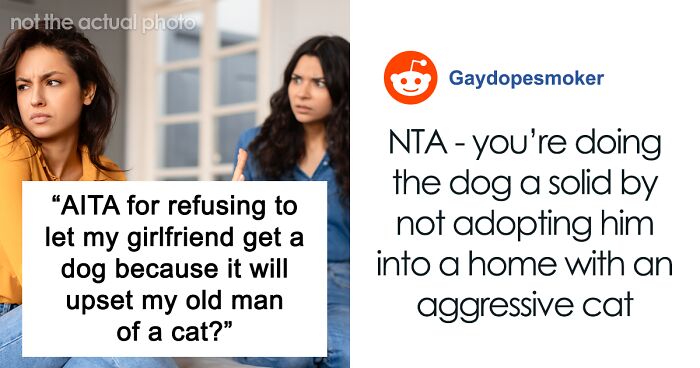 Woman Upset GF Won’t Let Her Get A Dog Because Of Her Old Cat