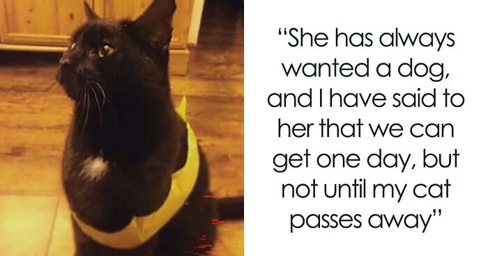 Woman Upset GF Won’t Let Her Get A Dog Because Of Her Old Cat