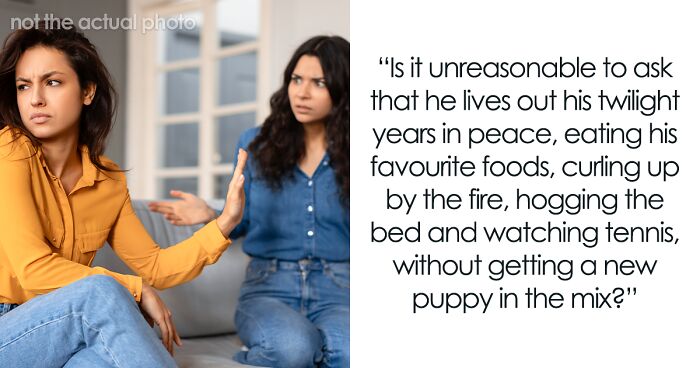 Woman Upset GF Won’t Let Her Get A Dog Because Of Her Old Cat