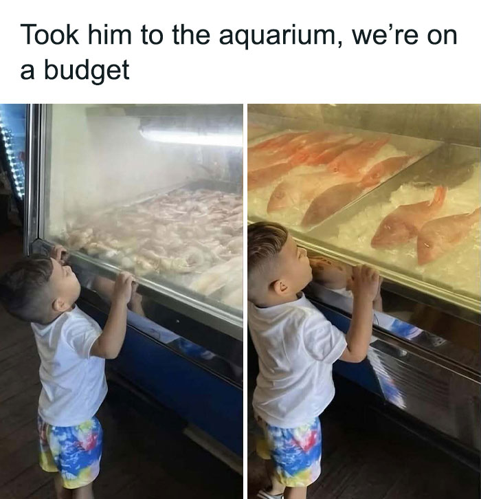 Young boy looking at fish in a display freezer, a funny meme illustrating reality with humor and budget-friendly aquarium visit.