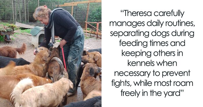 This Woman Turned Her Home Into A Sanctuary For Nearly 200 Homeless Dogs