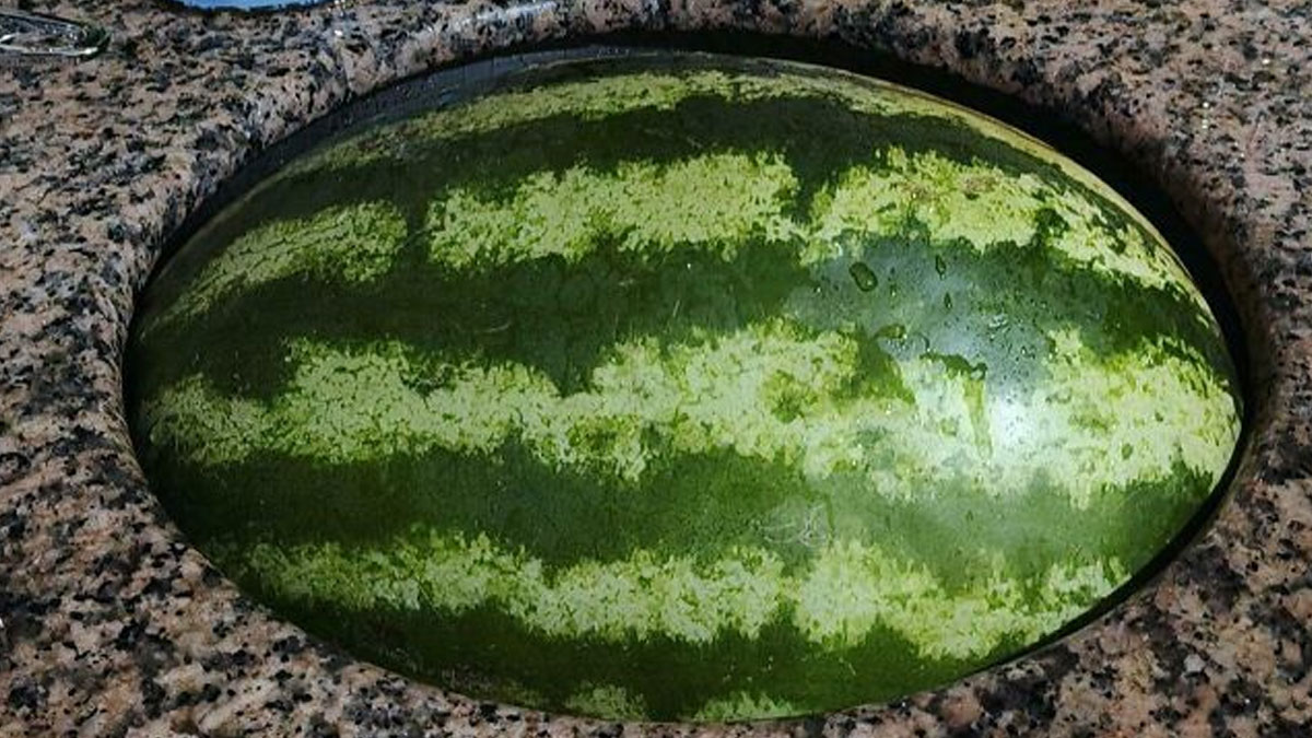 Watermelon perfectly aligned in an oval stone hole showing an unusual and satisfying natural fit and shape alignment.