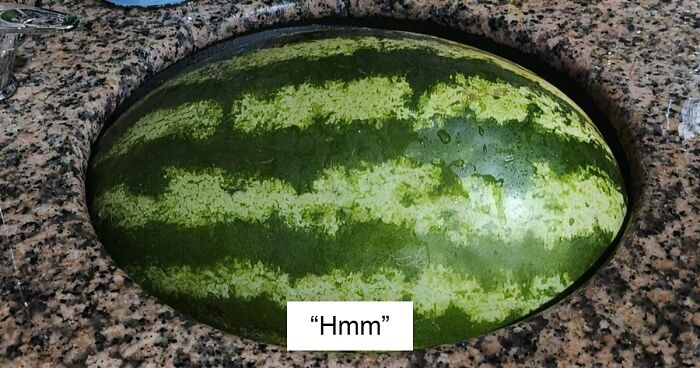 “Very Satisfying”: 100 Times Random Things Matched Up So Well It Felt Staged (New Pics)