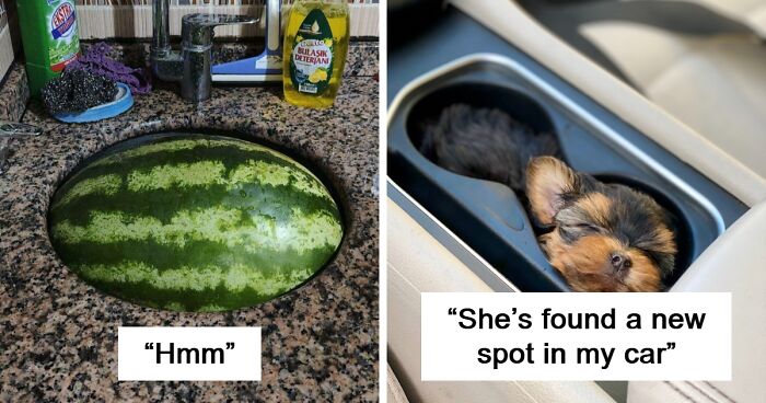 100 Times Things Aligned So Perfectly It Scratched Everyone’s Brain Just Right (New Pics)