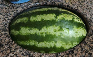 100 Times Things Aligned So Perfectly It Scratched Everyone’s Brain Just Right (New Pics)