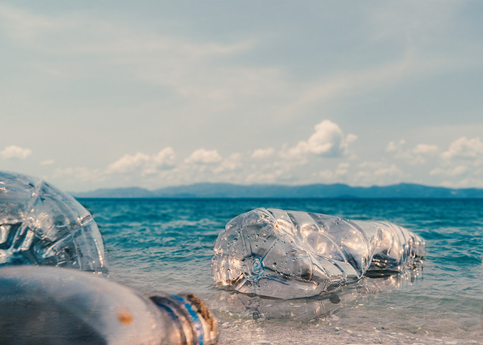 Plastic bottles washed up on a beach representing microplastics pollution impacting marine and bone tissue environments.