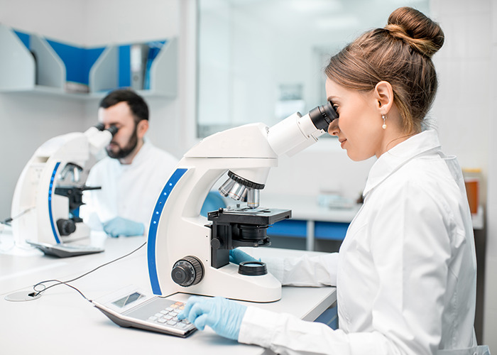 Scientists examining bone tissue samples under microscopes in a laboratory studying microplastics contamination.