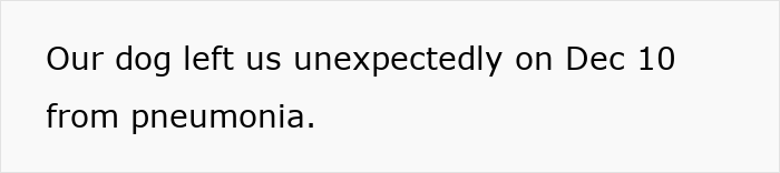 Text on a white background stating that a dog left unexpectedly on December 10 from pneumonia, related to mil house Christmas dog. Text on a white background stating that a dog left unexpectedly on December 10 from pneumonia, related to mil house Christmas dog.