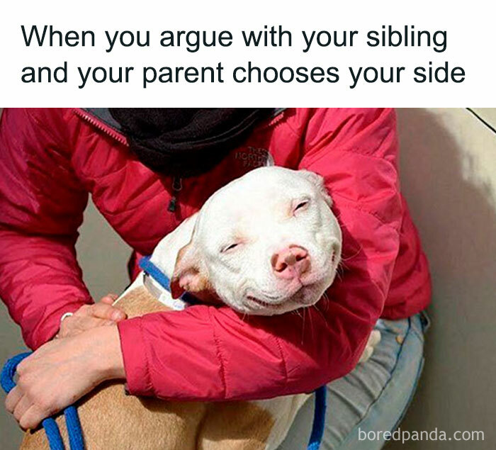 Happy dog being hugged by a person in a red jacket, illustrating sibling memes about family and parental support.