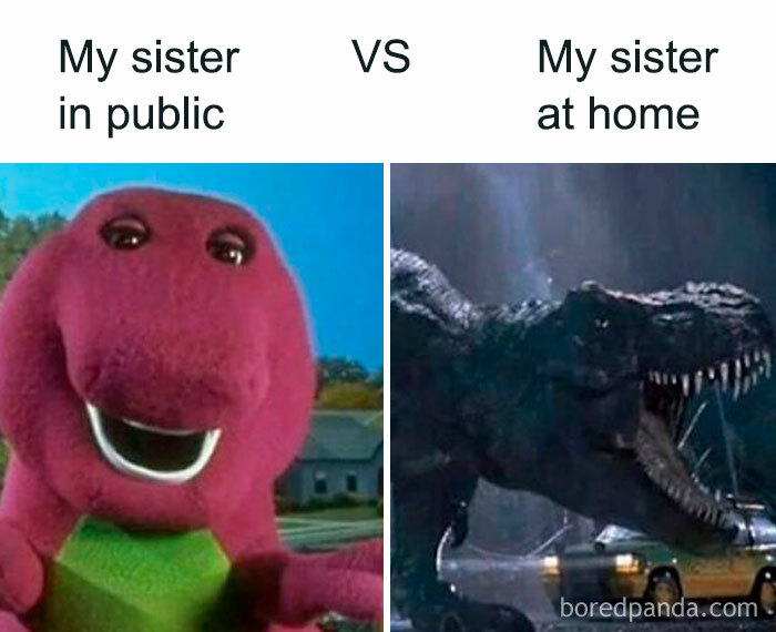 Comparison meme showing a friendly dinosaur as a sister in public versus a fierce dinosaur as a sister at home, siblings humor.