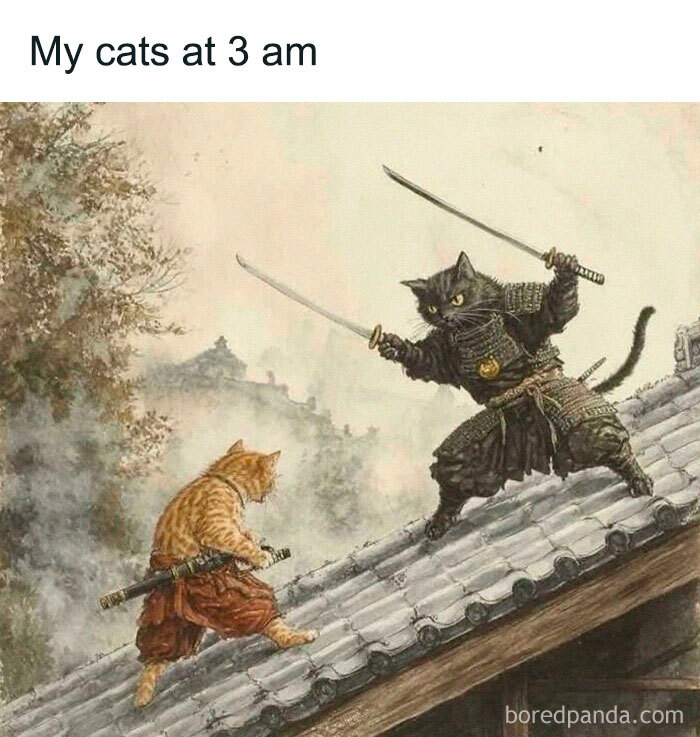 Two cats dressed as samurai on a rooftop, poised for battle in a humorous cat memes illustration.