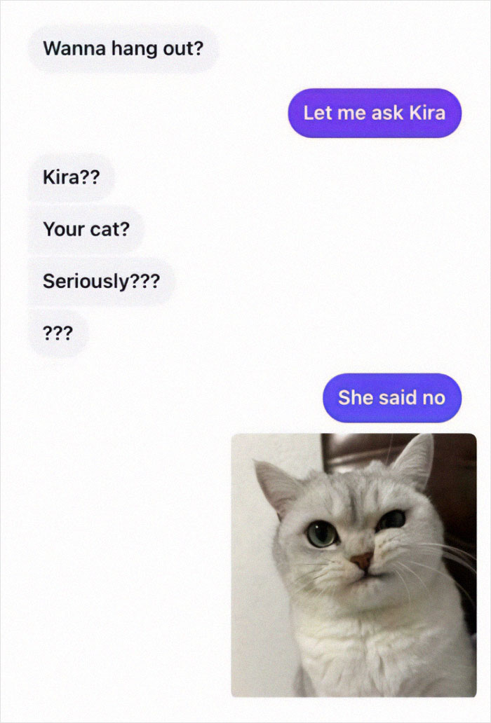 Text message conversation about asking a cat named Kira to hang out, with a funny cat meme showing a grumpy cat.