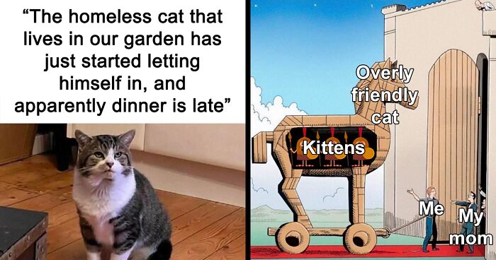 “Cat Distribution System In Effect”: 80 Funny Feline Memes To Make Your Day Way Better