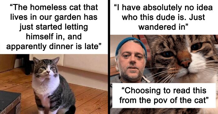 “Cat Distribution System In Effect”: 80 Funny Feline Memes To Make Your Day Way Better