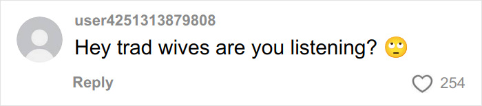 Comment on social media reading Hey trad wives are you listening with an eye-roll emoji, reflecting SAHM at a loss after divorce request. Comment on social media reading Hey trad wives are you listening with an eye-roll emoji, reflecting SAHM at a loss after divorce request.