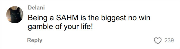 Comment from Delani expressing that being a SAHM feels like a no-win gamble in life, highlighting emotional struggle. Comment from Delani expressing that being a SAHM feels like a no-win gamble in life, highlighting emotional struggle.