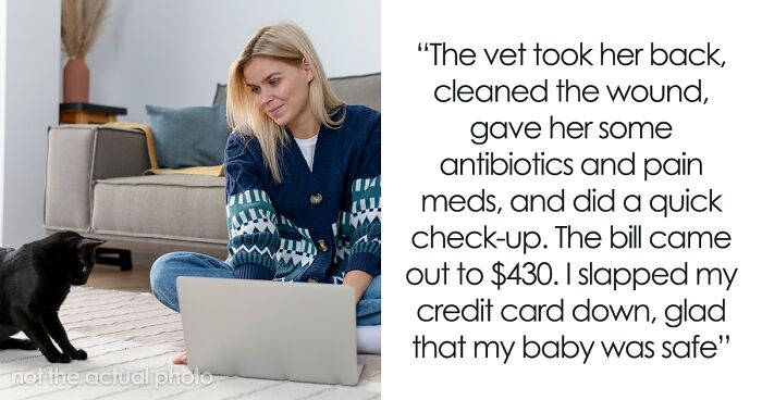Woman Spends $430 On Injured Cat, Only To Realize Later It’s A Look-Alike Imposter, Not Her Pet