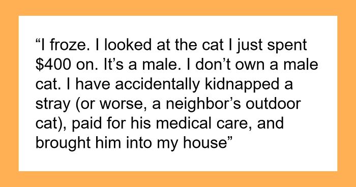Woman Spends $430 On Injured Cat, Only To Realize Later It’s A Look-Alike Imposter, Not Her Pet