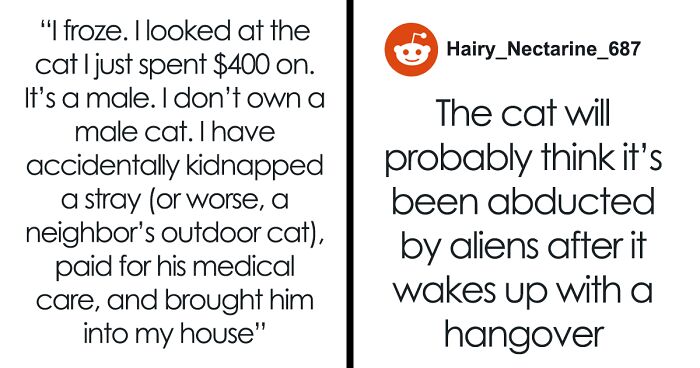 Woman Spends $430 On Injured Cat, Only To Realize Later It’s A Look-Alike Imposter, Not Her Pet