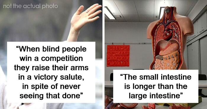 “It’s Called The Mammalian Dive Reflex”: 50 Facts About The Human Body That Sound Fake But Aren’t