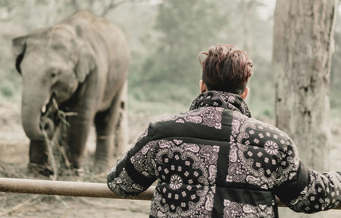 Person in patterned jacket observing elephant in a natural setting, illustrating facts about the mammalian dive reflex.