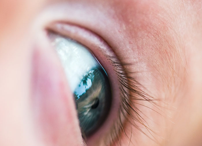 Close-up of a human eye showing detailed eyelashes and skin texture illustrating the mammalian dive reflex concept.