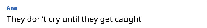 Screenshot of a comment reading They don&rsquo;t cry until they get caught on a white background with username Ana in blue text.