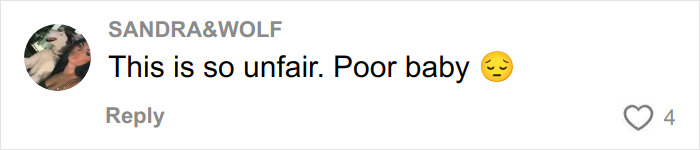 Comment on social media expressing sympathy for a teen taught a harsh lesson by a judge after pepper-spraying tourists on a boat.
