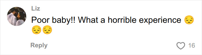 Comment from user Liz expressing sympathy with sad emojis about a teen taught a harsh lesson by judge after pepper-spraying tourists.