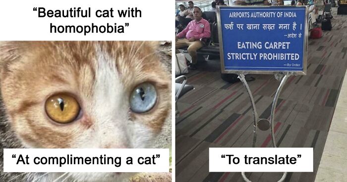 64 Funny And Awkward Moments When An Attempt Was Made But Didn’t Go As Expected (New Pics)