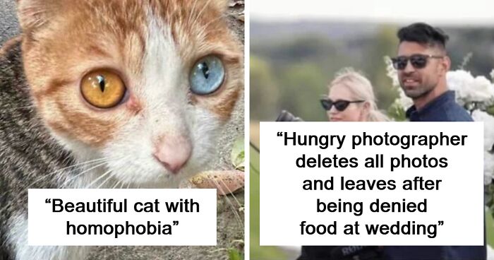 64 Funny And Awkward Moments When An Attempt Was Made But Didn’t Go As Expected (New Pics)