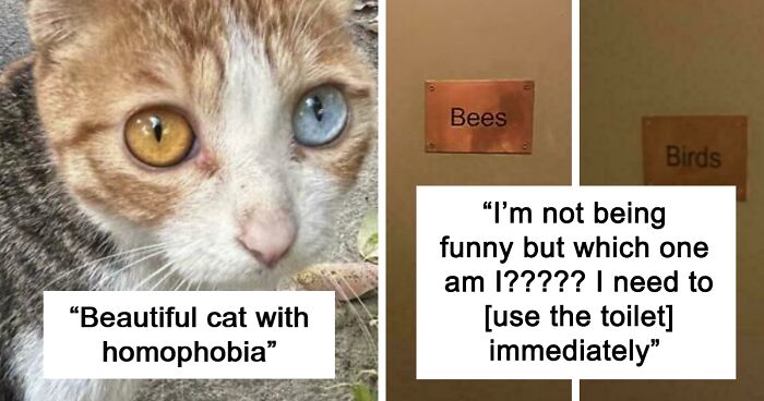 64 Funny And Awkward Moments When An Attempt Was Made But Didn’t Go As Expected (New Pics)