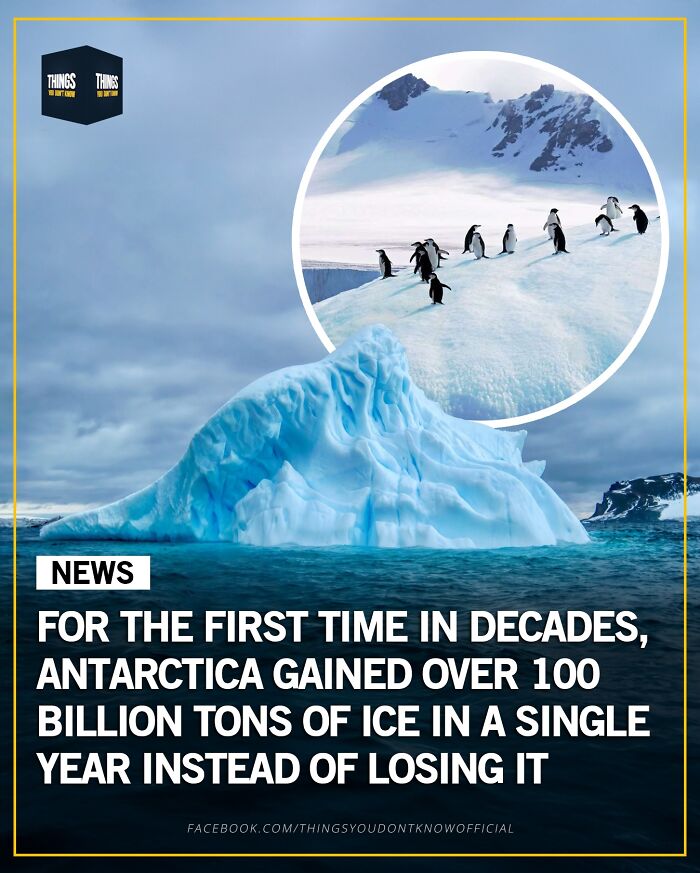 Antarctica gained over 100 billion tons of ice in a year, a compelling fact and great conversation starter.