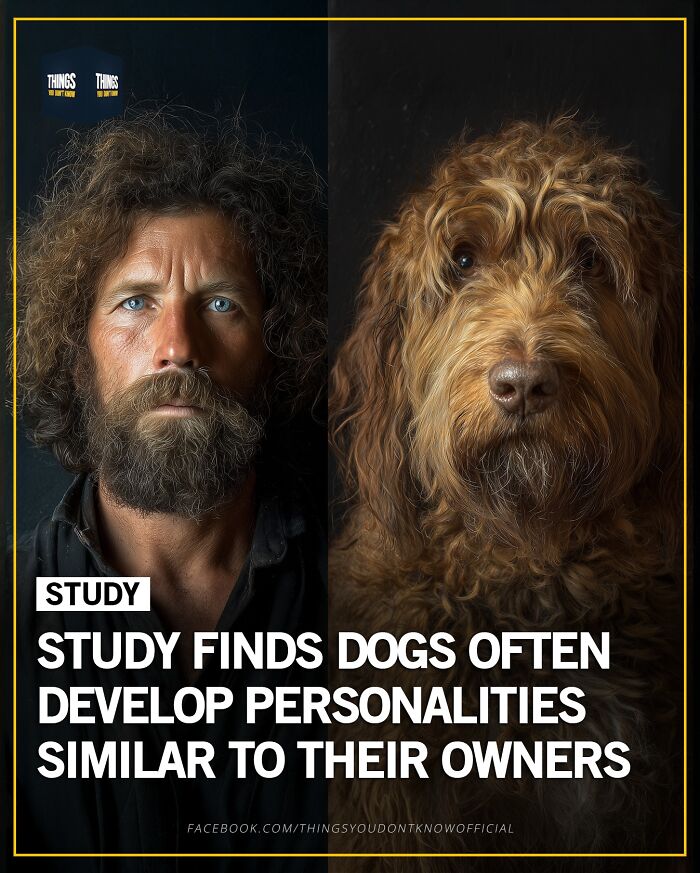 Study finds dogs often develop personalities similar to their owners, a compelling fact for dinner party conversation starters.