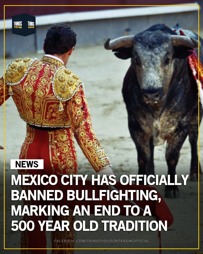 Matador facing bull in arena illustrating compelling facts and stories for great conversation starters.