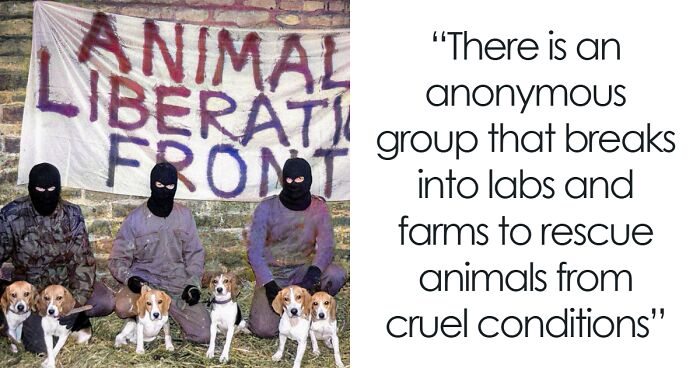 These 71 Compelling Facts And Stories Would Make Great Conversation Starters At A Dinner Party