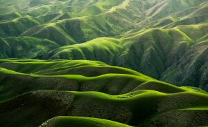 Hey Pandas, Share A Photo You Took That Looks Fake But Isn’t