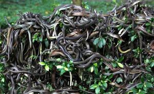 30 Most Dangerous Places In The World To Visit Right Now, Ranked